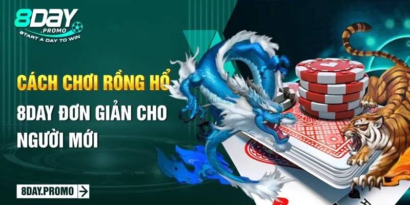 Cách chơi Rồng Hổ 8DAY đơn giản cho người mới